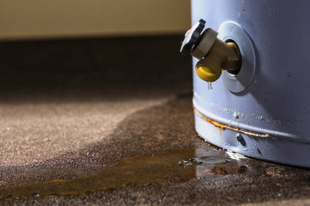 Best Emergency water damage restoration  in Staunton, IL