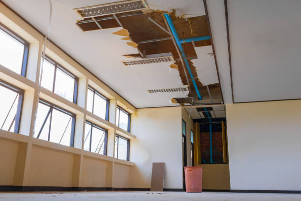 Best Water damage restoration near me  in Staunton, IL