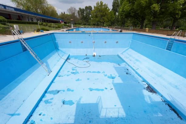 Best Local water damage restoration  in Staunton, IL