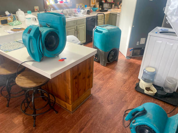 Water damage restoration insurance claims in Staunton, IL