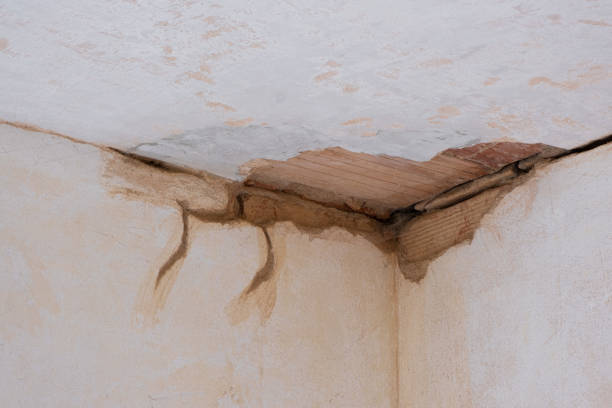  Staunton, IL Water damage restoration Pros