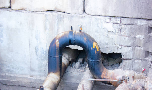 Best Water damage contractors near me  in Staunton, IL
